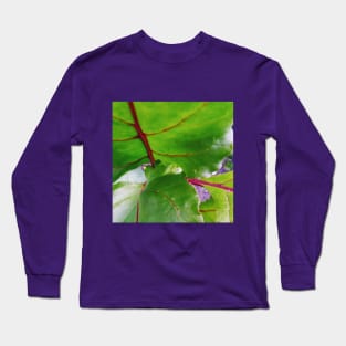 Red Beet Foliage Long Sleeve T-Shirt